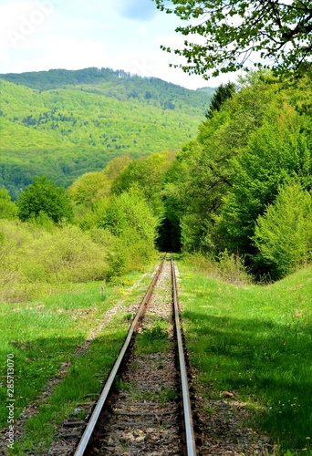 Fototapeta Naklejka Na Ścianę i Meble -  railway in a tunnel of green trees