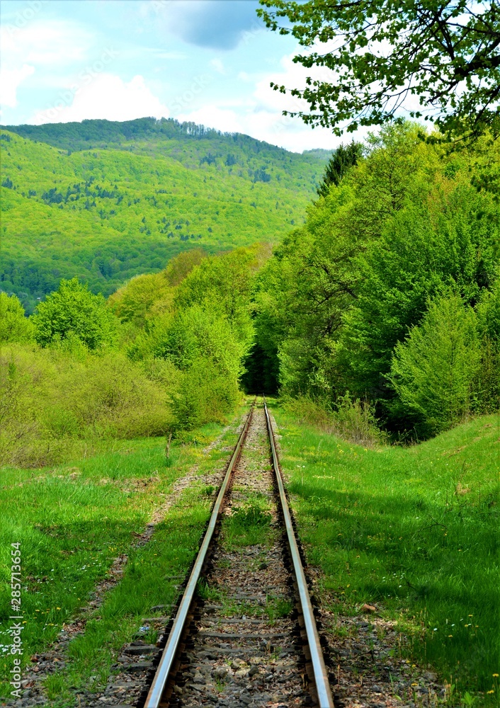 Fototapeta premium railway in the countryside
