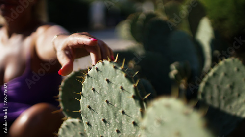 Close up of cactus in garden on sunny day with hand pointingto it