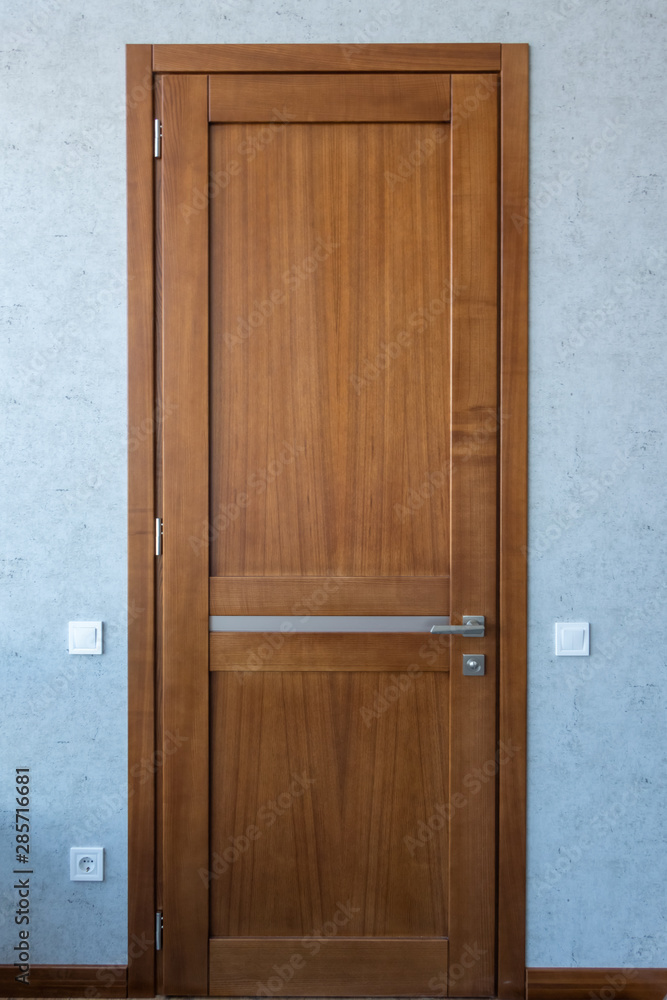 Beautiful walnut door with narrow frosted glass and aluminum handle