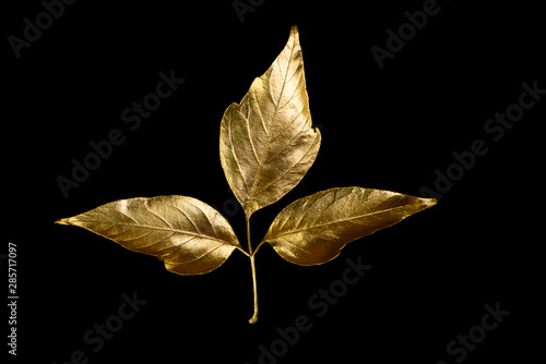 autumn composition of different Golden leaves and letters on black background photo