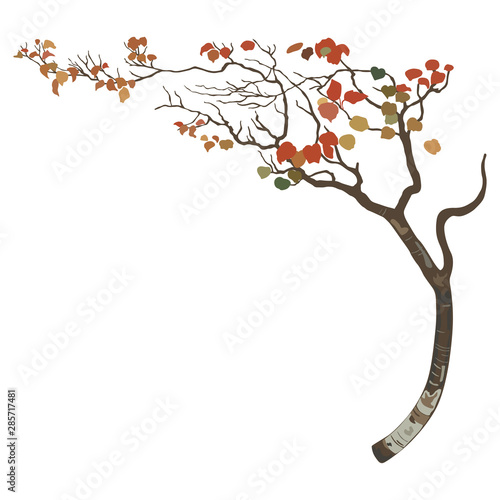 Silhouette of bent autumn tree with colorful leaves. Deciduous  branch in fall.