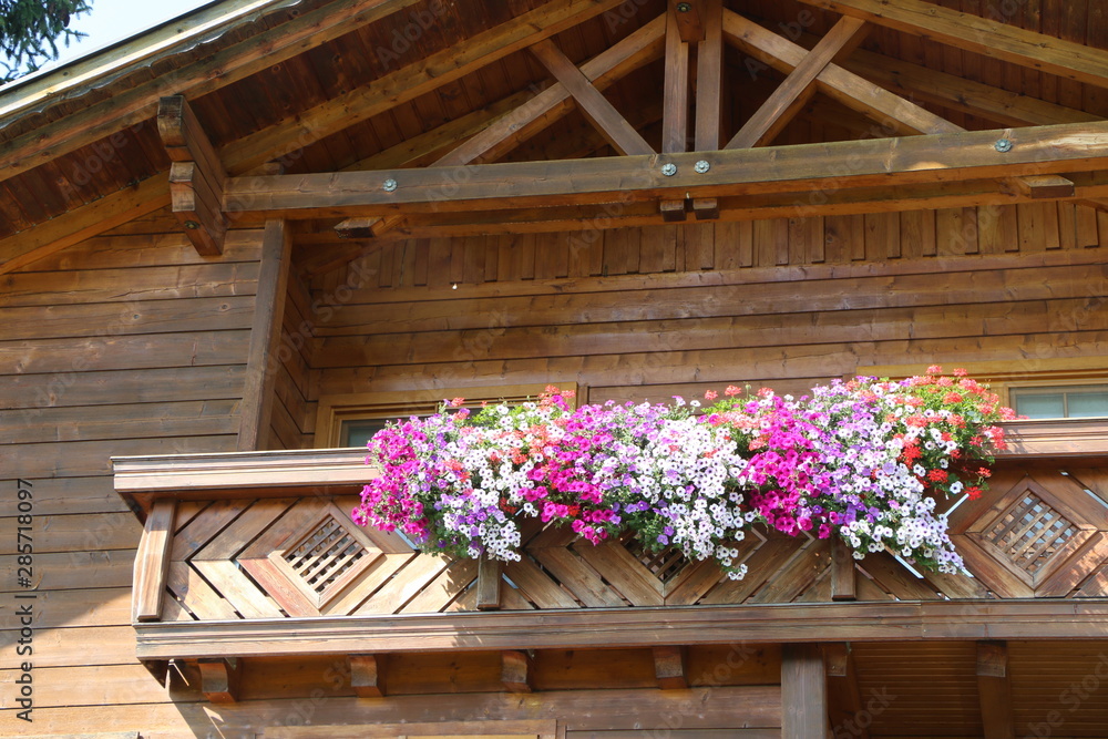 Haus und Garten, Sommerlicher Blumenschmuck an einem Holzhaus in den Österreichischen Alpen, Balkonblumen, Petunien und Geranien