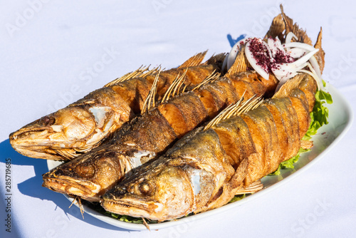 Plate with three pike-perch fish photo
