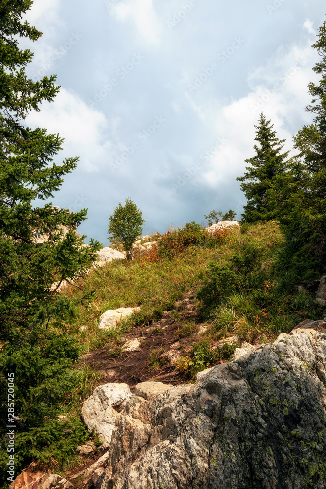 mountain landscape on a summer day