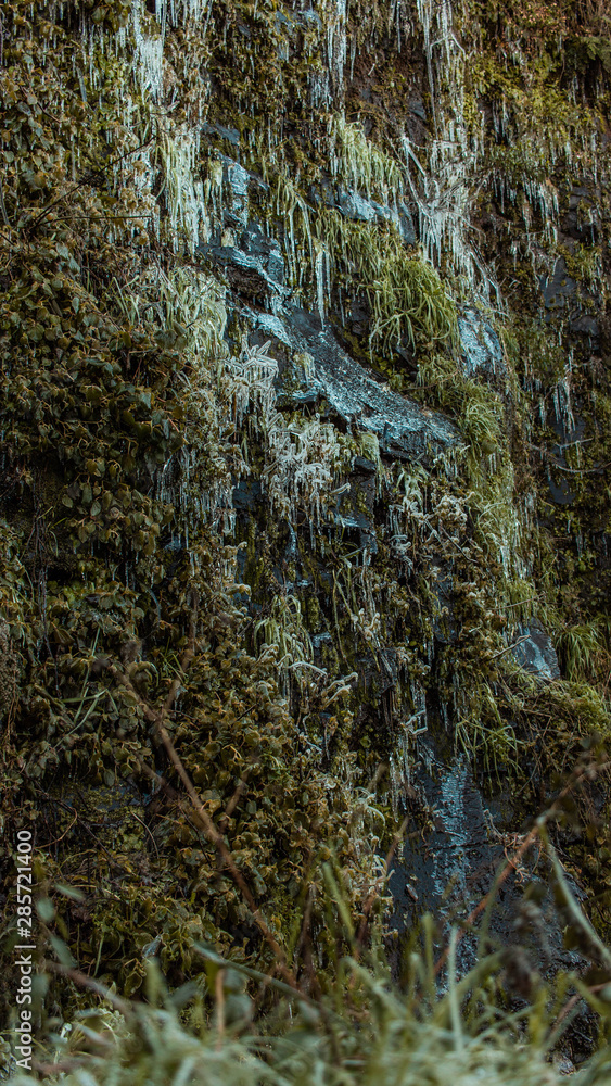 Obraz premium Parede de pedra com plantas congeladas