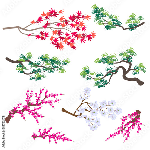 Japanese Maple,  Korean Pine and Blooming Tree Branches