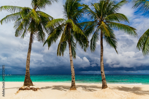 Fototapeta Naklejka Na Ścianę i Meble -  Dream scene. Beautiful palms tree over white sand beach. Summer nature view.