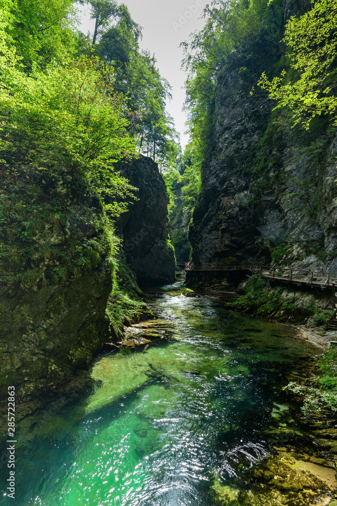 Wonderful view over beautiful Radovna river in Vintgar Gorge. Shot againts the sun. Wonderful view over beautiful Radovna river in Vintgar Gorge. Shot againts the sun.