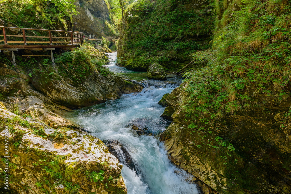 The rapid flow of the Radovna River. Vintgar gorge, Bled, Slovenia. The rapid flow of the Radovna River. Vintgar gorge, Bled, Slovenia.