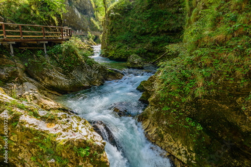 The rapid flow of the Radovna River. Vintgar gorge, Bled, Slovenia.