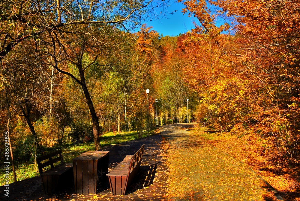 autumn in the park autumn in the park