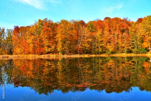 Lake Ursu Sovata in autumn