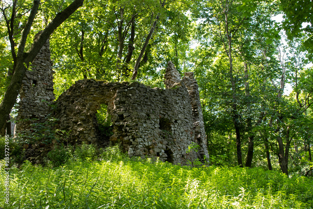 Ruins of the castle Ostry Kamen, Little Little Carpathian mountains (Slovakia) - obrazy, fototapety, plakaty 