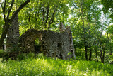 Ruins of the castle Ostry Kamen, Little Little Carpathian mountains (Slovakia)