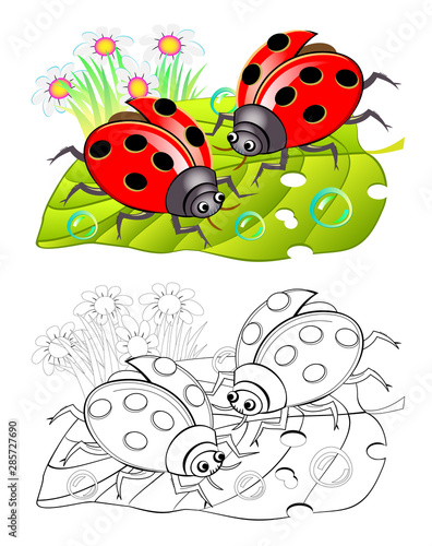 Two cute ladybirds sitting on a leaf. Colorful and black and white page for coloring book for kids. Fantasy illustration of insects. Printable worksheet for children and adults. Vector cartoon image.