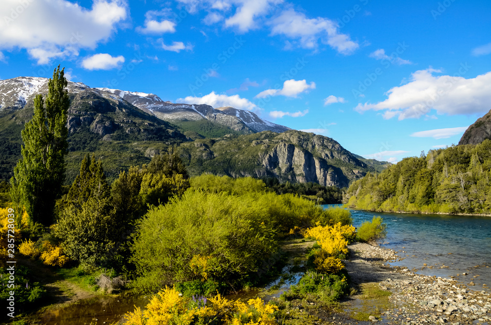Patagonian landscape with stone river and snowy mountains and with vegetation