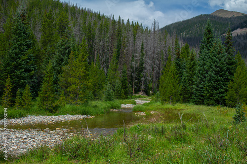 stream in mountains 