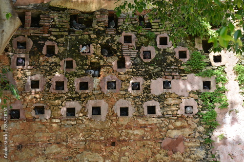 Dove Brick Wall
