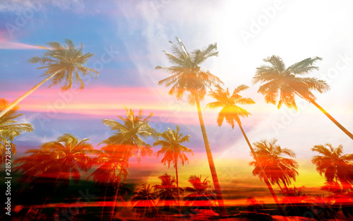 Fototapeta Naklejka Na Ścianę i Meble -  Coconut palm tree with vintage effect for background