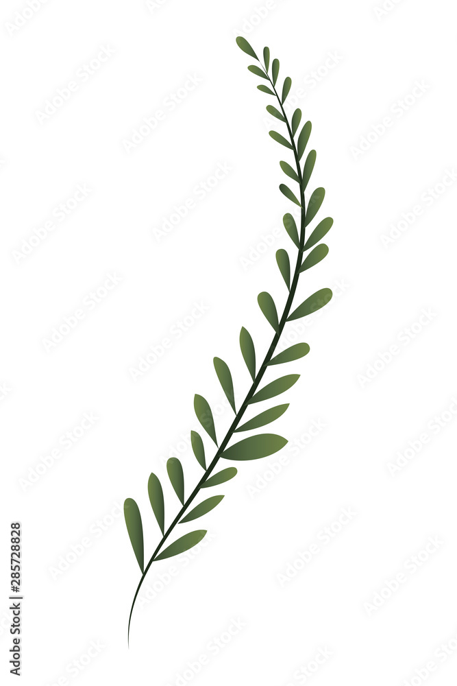 branch with leaf isolated icon branch with leaf isolated icon