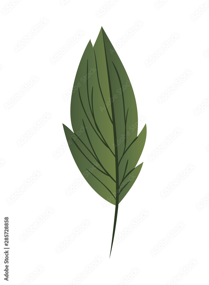 branch with leaf isolated icon branch with leaf isolated icon