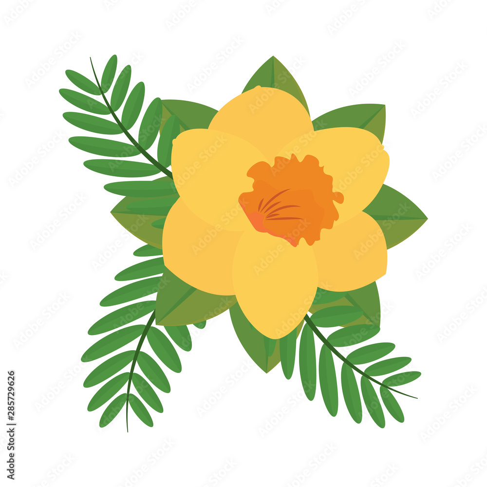 Abstract cute flower Abstract cute flower
