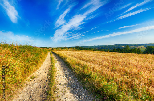 Beautiful cloudy sky over summer fields