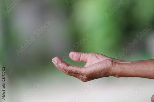 Old man hands with wrinkled skin © Golden House Images