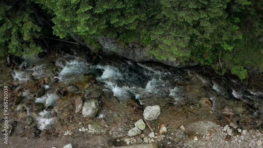 Drone Shot in mysterious mountainous jungle with trees bending over a fast stream with rapids. Alpine river seen from above. 4K