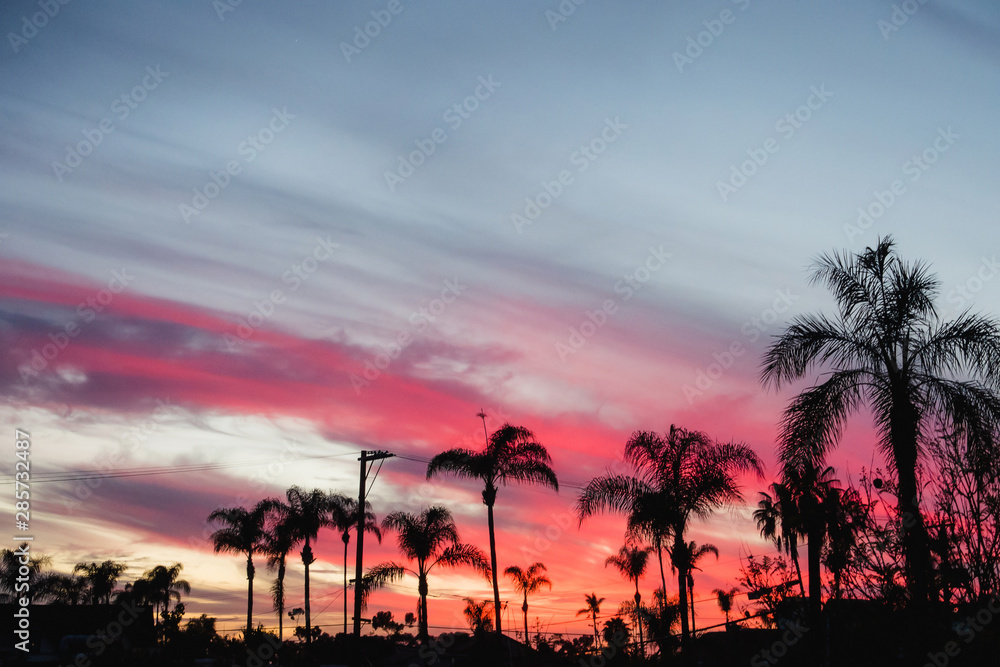 Fototapeta premium dark silhouette of palm trees and houses with wires at sunset sky