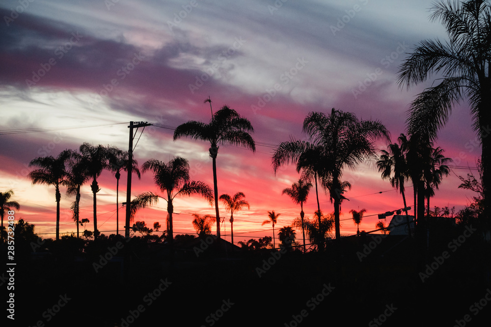dark silhouette of palm trees and houses with wires at sunset sky