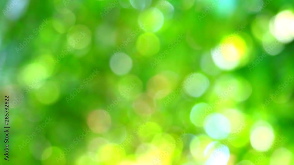 green pink yellow blur background abstract colorful leaves flower tree in garden green pink yellow blur background abstract colorful leaves flower tree in garden