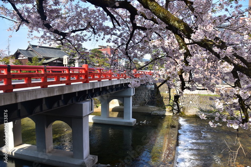 日本の岐阜県の高山市　春の高山祭　中橋と宮川と満開の桜