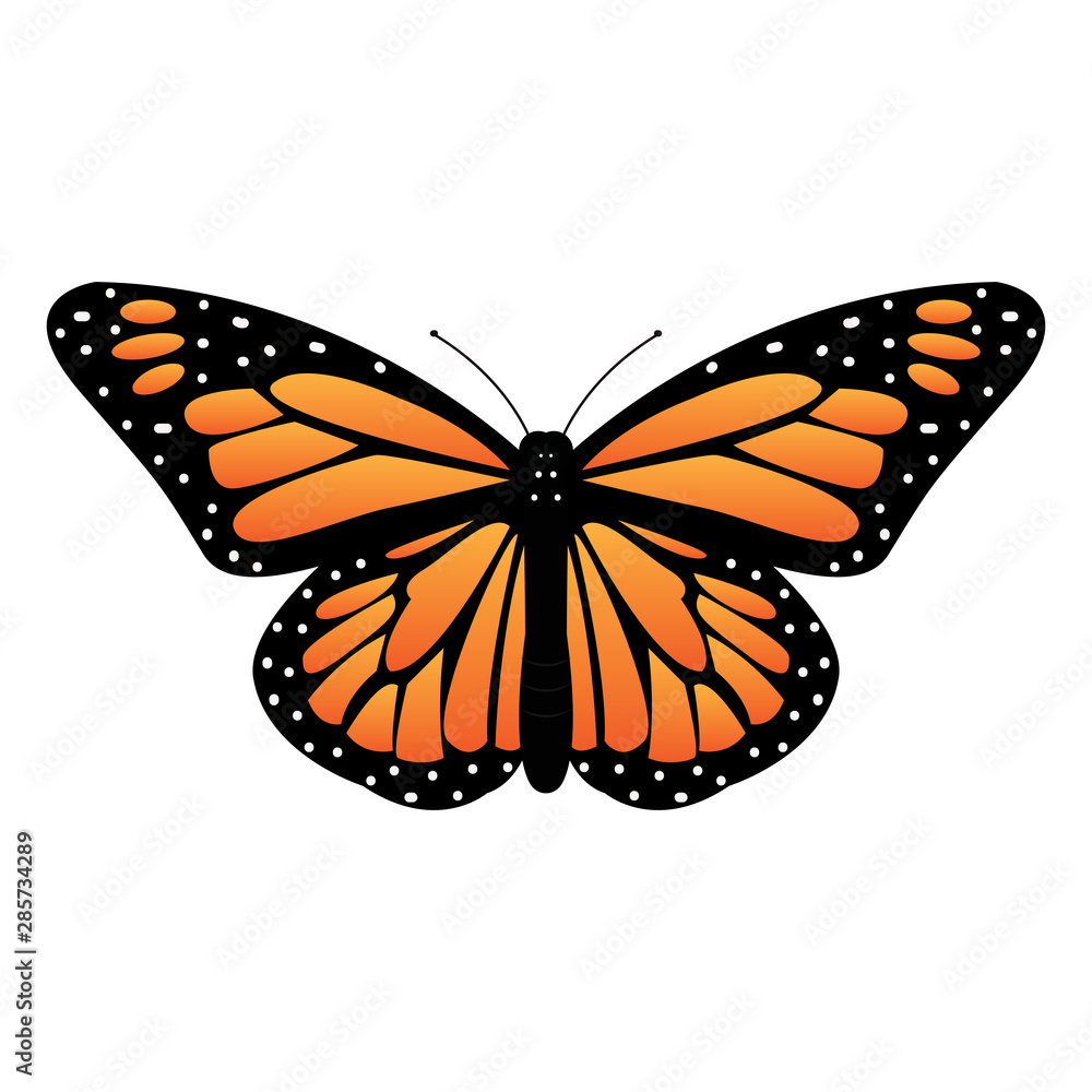 Fototapeta premium Abtract cute butterfly