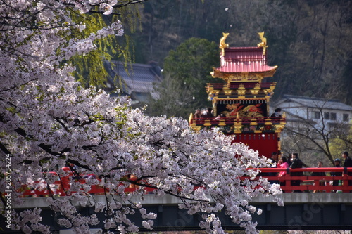 日本の岐阜県の高山市　春の高山祭　中橋を渡る屋台と満開の桜と宮川