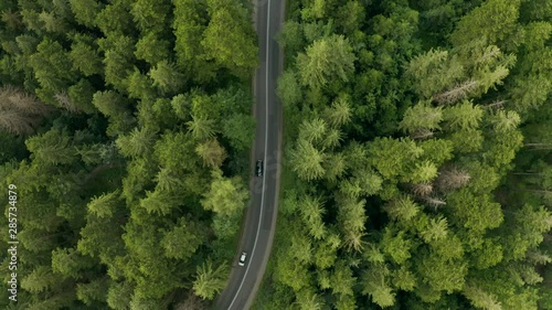 Aerial view of the road in a mountain forest. Buses and cars travel along a zigzag winding road through a dense fir forest on the side of a mountain. Drone Shot 4K.