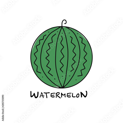 Watermelon, sketch for your design
