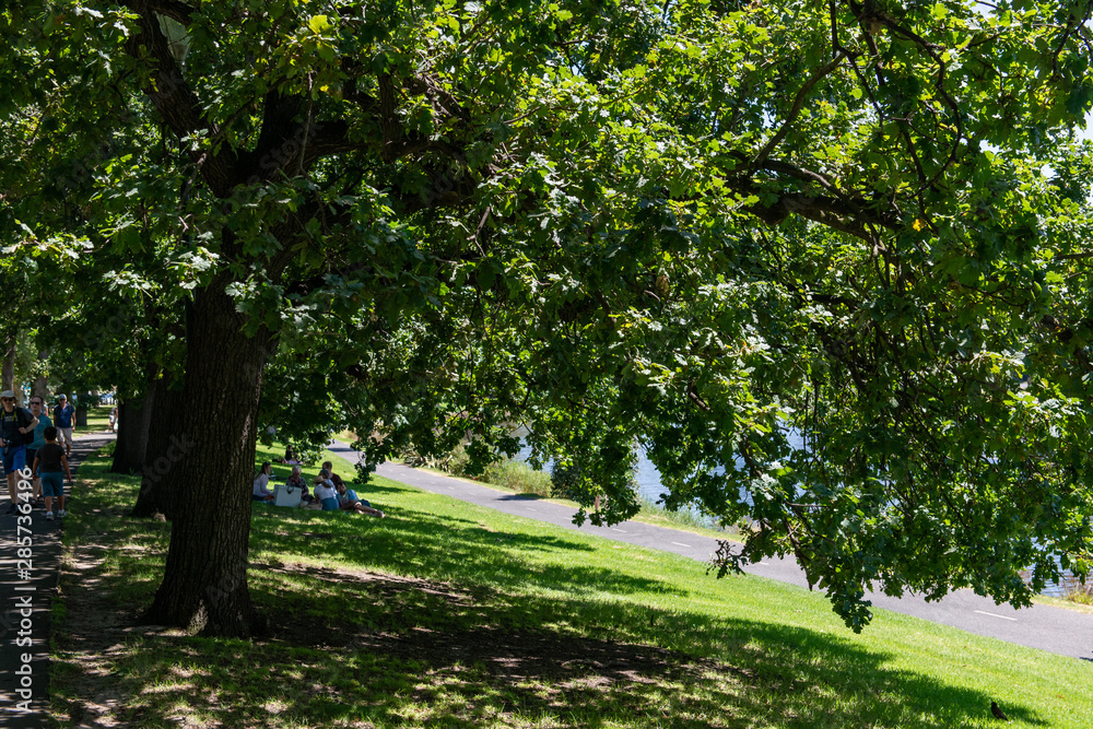 Fototapeta premium path in the park