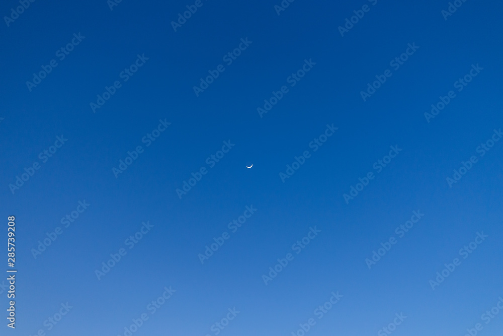 flying in the sky flying in the sky