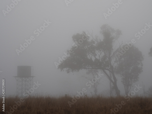 Misty Farm Morning