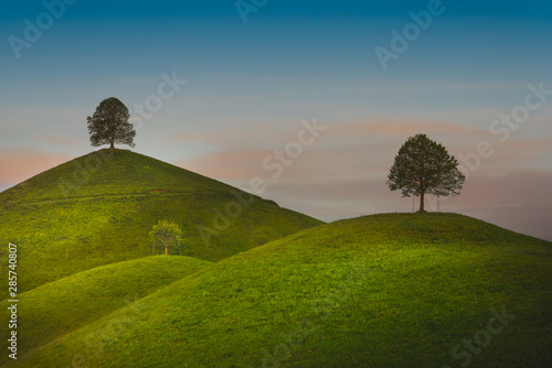 Trees in rolling landscape,Hirzel Switzerland photo