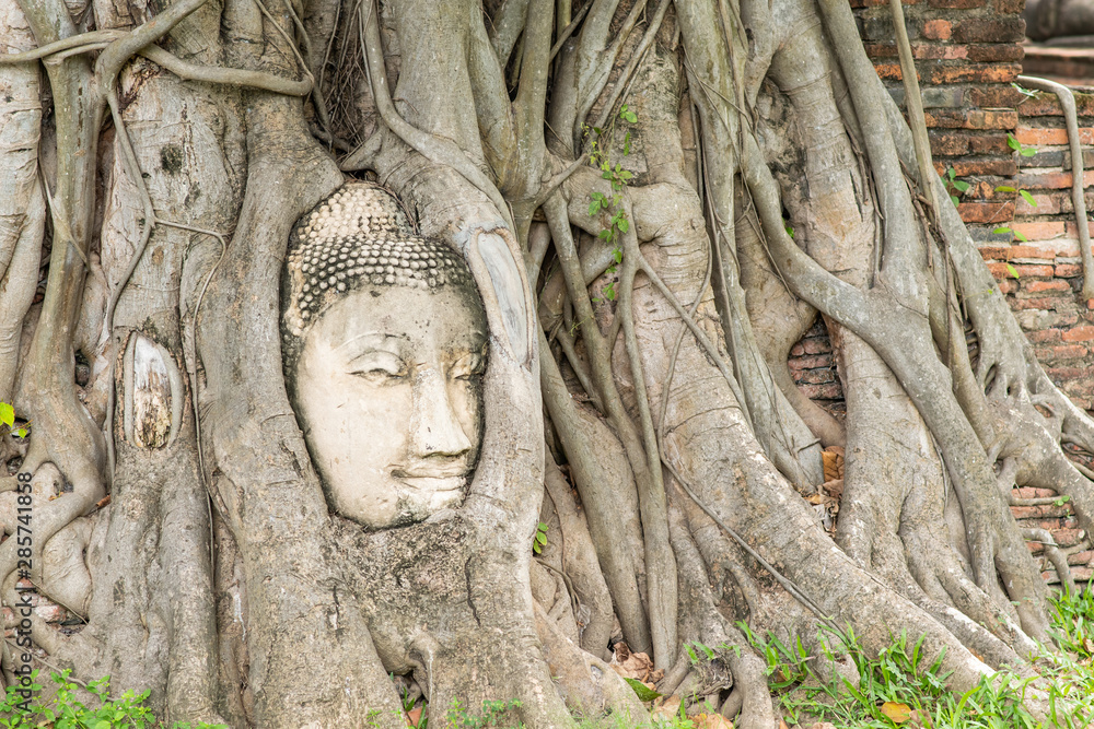 Stone buddha head in tree root at Wat Mahathat temple.