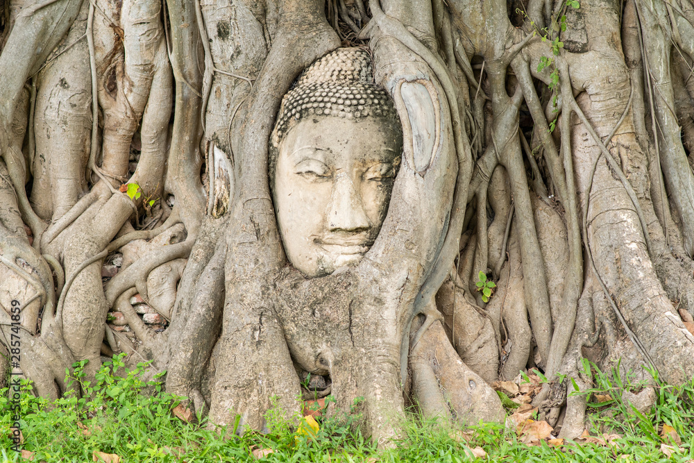 Stone buddha head in tree root at Wat Mahathat temple. Stone buddha head in tree root at Wat Mahathat temple.