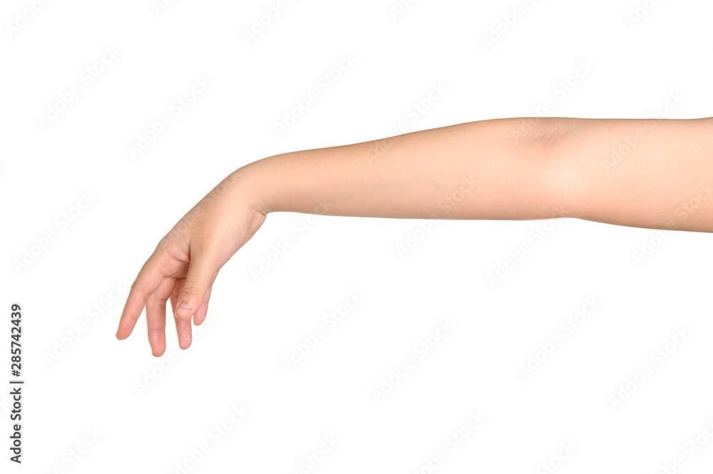 Woman hand isolated on white background Woman hand isolated on white background