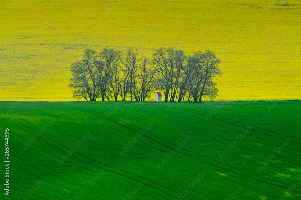 Spring in the field s waves of South Moravia, Czech Republuc