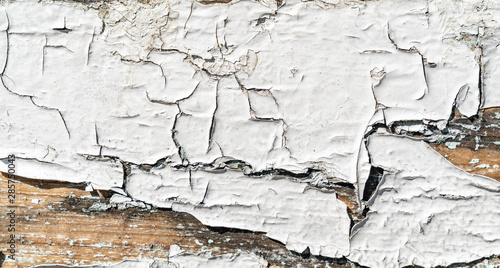 Cracked white paint texture background. Old wood texture with white peeling paint. Different small fractures of paint. Background for text or design