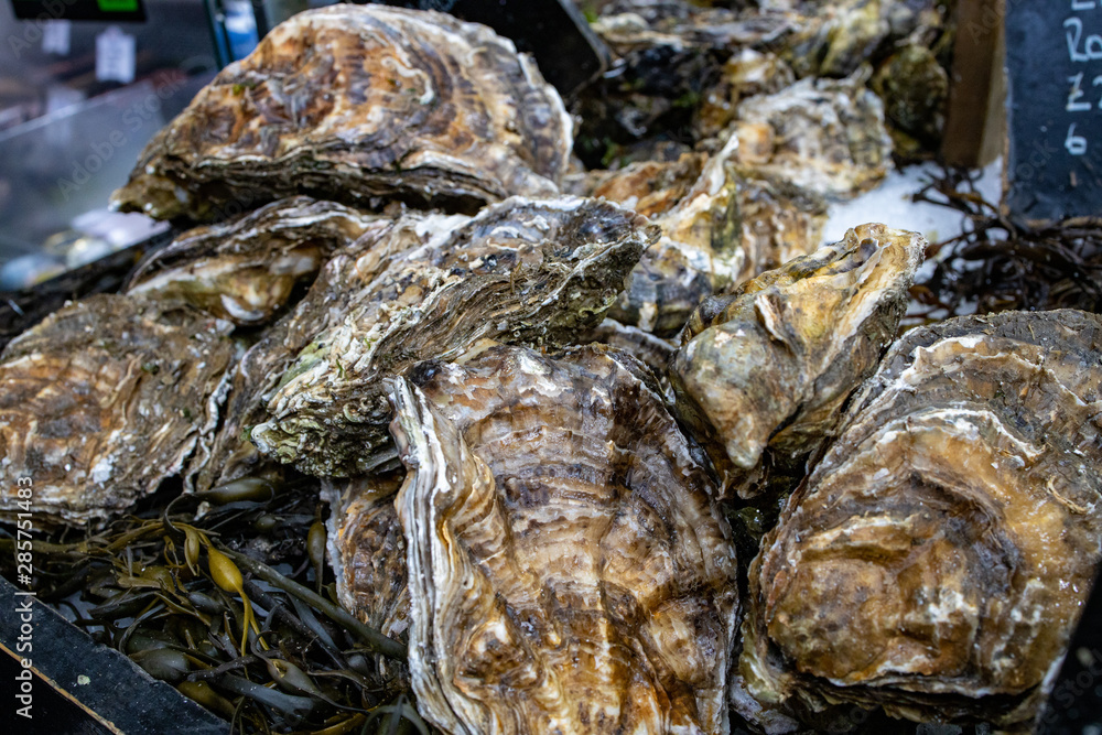 Fresh oysters at the seafood market Fresh oysters at the seafood market