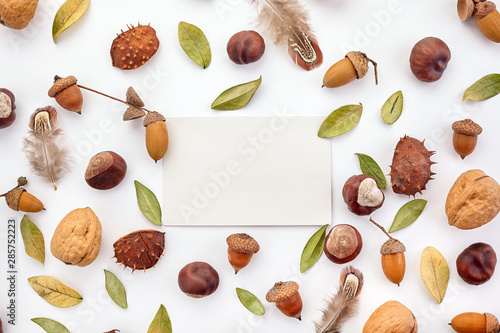 Autumn composition  frame made of nuts  acorns  chestnuts and dry leaves on white background. Flat lay  top view.