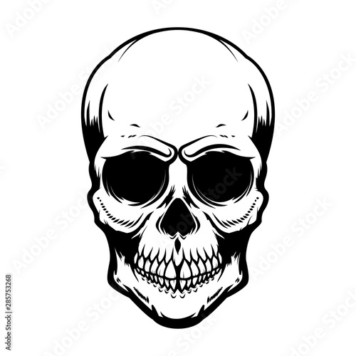 Human skull isolated on white background. Design element for poster, card, banner, t shirt, emblem, sign. Vector illustration